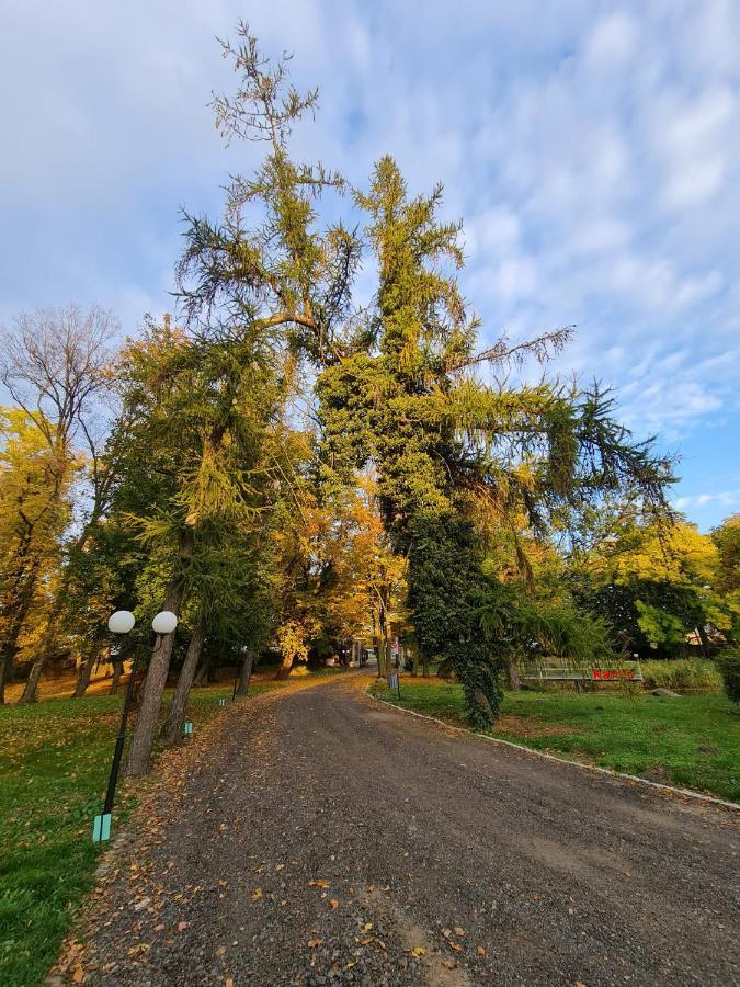 Dwor Podstolice - House Of Rosenthal Villa Bagian luar foto